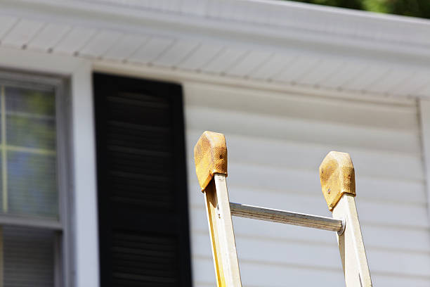 Best Engineered Wood Siding  in Maple Glen, PA