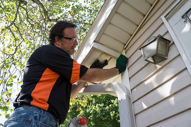 Best Stone Veneer Siding  in Maple Glen, PA